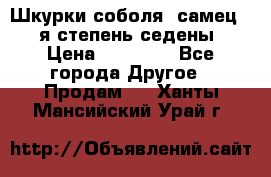 Шкурки соболя (самец) 1-я степень седены › Цена ­ 12 000 - Все города Другое » Продам   . Ханты-Мансийский,Урай г.